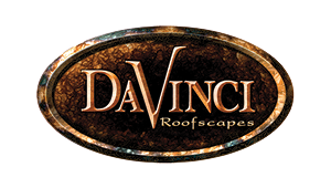 Davinci logo